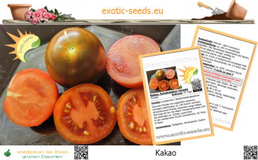 Tomate * Kakao * Schokoladen-Tomate * 20 Samen